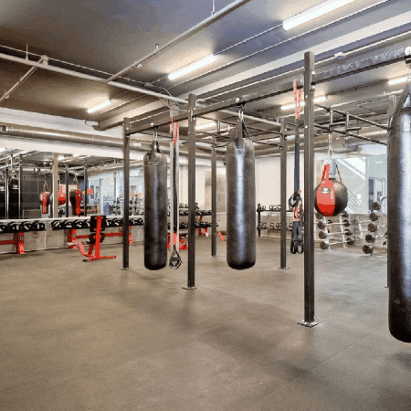 Teqneeq giphygifmaker giphyattribution GIF