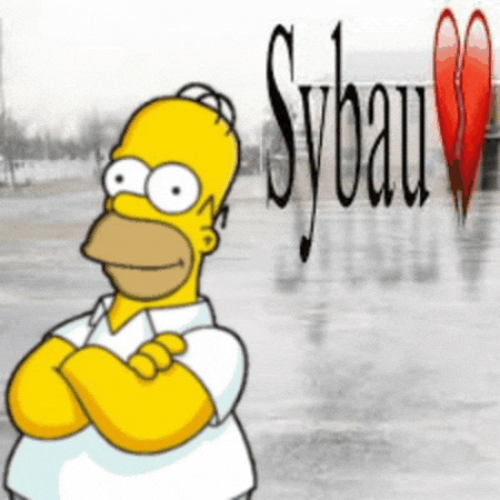 Homer Simpson Omg GIF