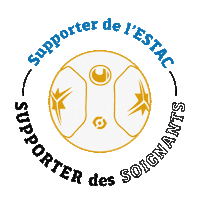 L1 Lfp Sticker by Ligue 1