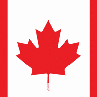 Canadian Party GIF by Masters of Mayhem