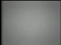 GIF by Sharon Jones & The Dap-Kings