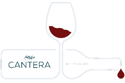 Cheers Wine Sticker by cantera_cocinadelvalle
