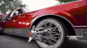 wshh GIF by Worldstar Hip Hop