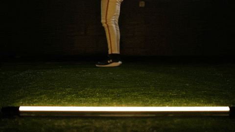 Baseball Juco GIF by Pearl River Athletics