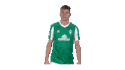 Bundesliga Nick Sticker by SV Werder Bremen