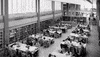 Reading Room Mcgill Archives GIF by McGill University Library