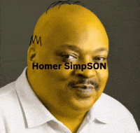 Homer Simpson Simpsons GIF