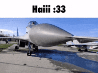 Pet GIF