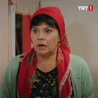 Ne Kalkgidelim GIF by TRT