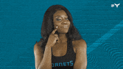 Honey Bee Dance GIF by Charlotte Hornets