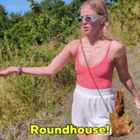 Roundhouse GIF