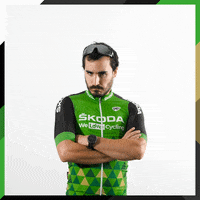 SkodaWeLoveCyclingFr happy cycling skoda skoda we love cycling GIF
