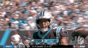 Carolina Panthers Shrug GIF by NFL