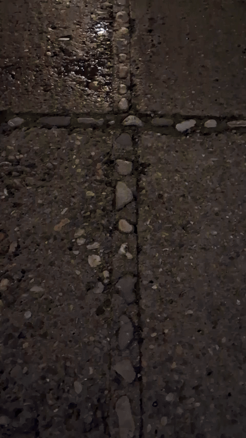 Simongip giphyupload GIF