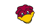 Give South Carolina Sticker by University of South Carolina