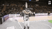 Happy Champions League GIF by JDA Dijon Basket