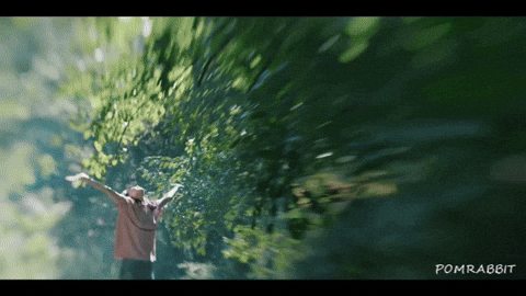 ポンラビット giphyアップロード GIF
