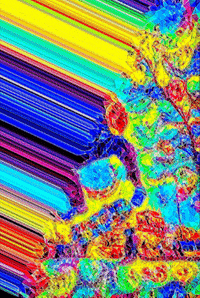 Art Rainbow GIF
