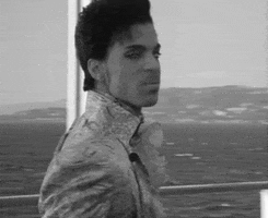 agent m GIF by Agent M Loves Gifs