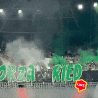 Bundesliga Wow GIF by Linz News
