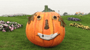 Tinky Winky Dancing GIF by Teletubbies