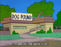 Season 3 Trees GIF by The Simpsons