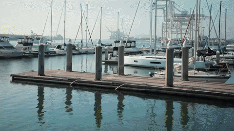 Surprise Wow GIF by Mailchimp