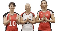 Swissvolley Sticker by NUCVolleyball