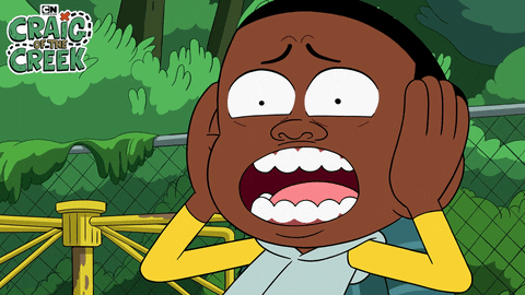 What The Reaction GIF by Cartoon Network