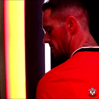 Premier League Football GIF by Southampton FC