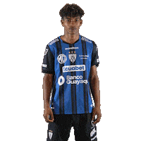 Futbol Tattoo Sticker by INDEPENDIENTE DEL VALLE