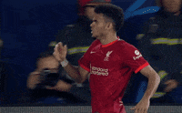 Champions League Football GIF by UEFA