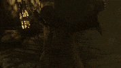Diablo 2 GIF by Xbox
