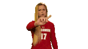 Wisconsin Volleyball No Sticker by Wisconsin Badgers