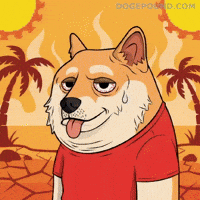 Shiba Inu Ugh GIF by Doge Pound