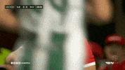 Angry Sl Benfica GIF by Sport Lisboa e Benfica