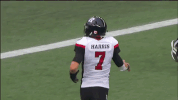 football cfl GIF by Ottawa REDBLACKS