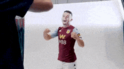Happy Premier League GIF by Aston Villa FC