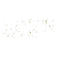 haleandhush wow yes excited yeah Sticker