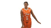 Basketball Thanks Sticker by Tango Bourges Basket
