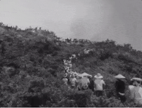 boomunderground  GIF