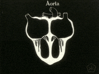 Black And White Heart GIF by Okkult Motion Pictures