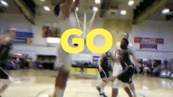 march madness uvm GIF by University of Vermont