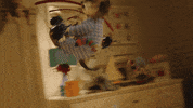 Happy Cat GIF by comparethemarket