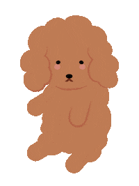 Dog Poodle Sticker by allpears
