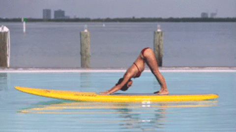 the standard spa GIF