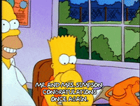 Season 1 GIF by The Simpsons
