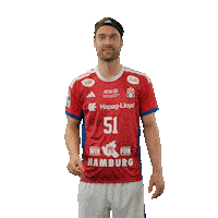 Handball Hamburg Sticker by DAIKIN HBL