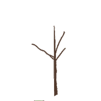 Fiddle Leaf Garden Sticker by Smart Plant App