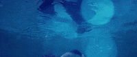 relapse records between waves GIF by The Album Leaf